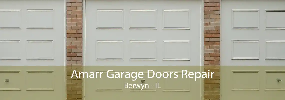 Amarr Garage Doors Repair Berwyn - IL