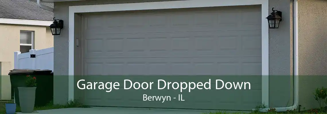 Garage Door Dropped Down Berwyn - IL