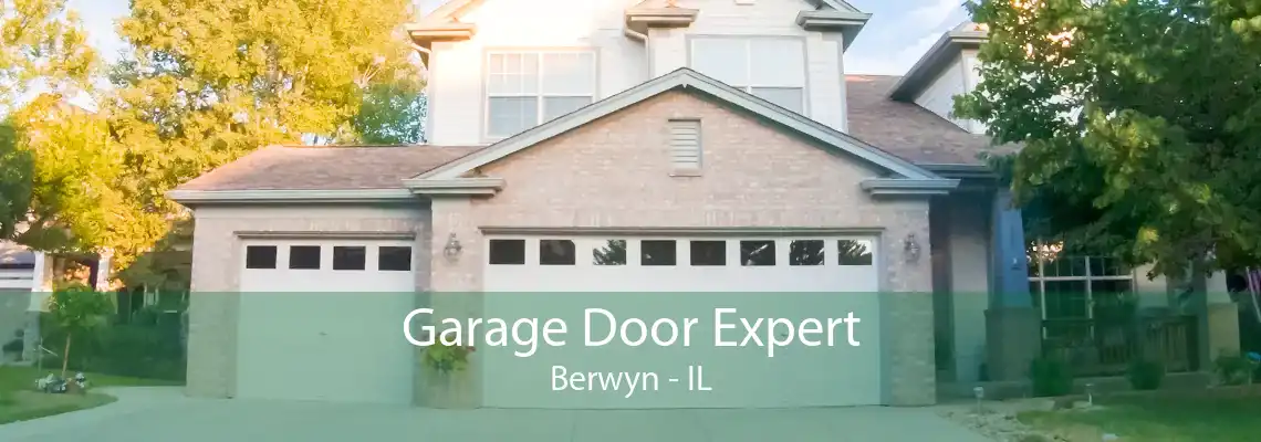 Garage Door Expert Berwyn - IL