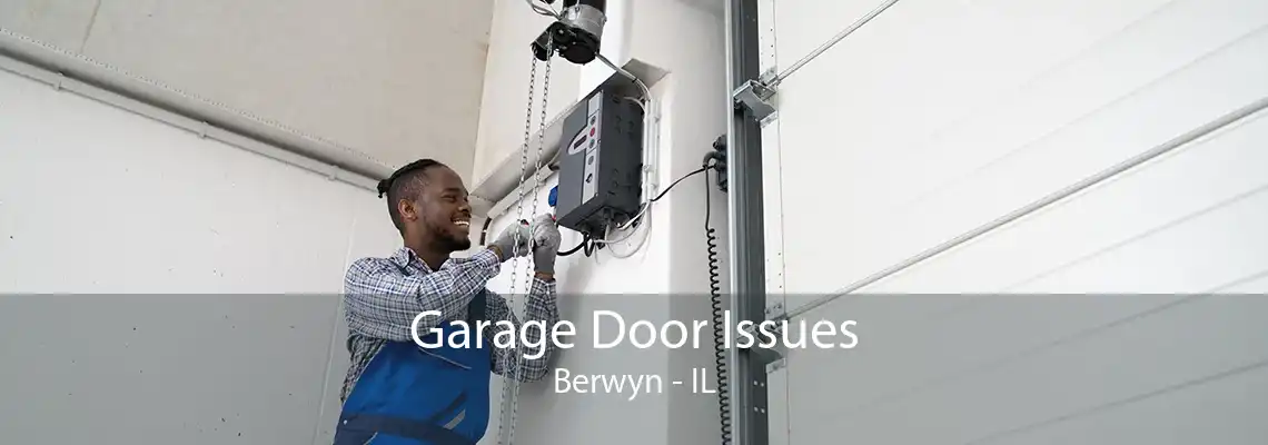 Garage Door Issues Berwyn - IL