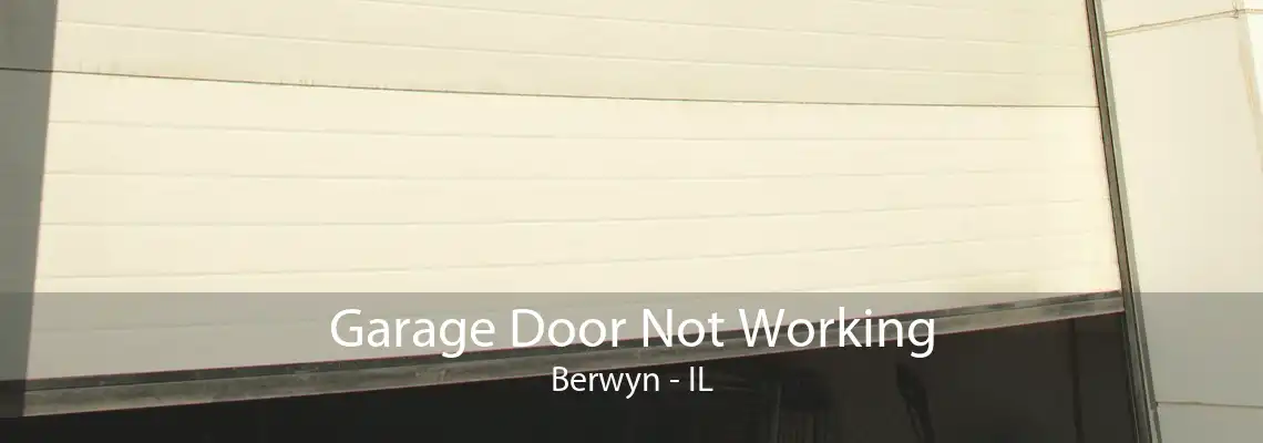 Garage Door Not Working Berwyn - IL