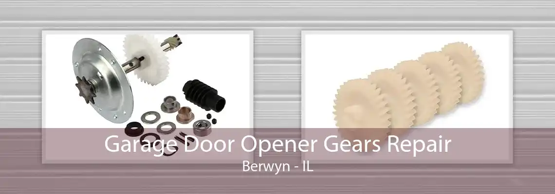 Garage Door Opener Gears Repair Berwyn - IL