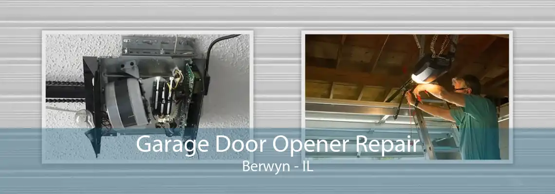 Garage Door Opener Repair Berwyn - IL