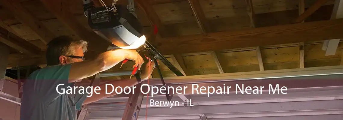 Garage Door Opener Repair Near Me Berwyn - IL