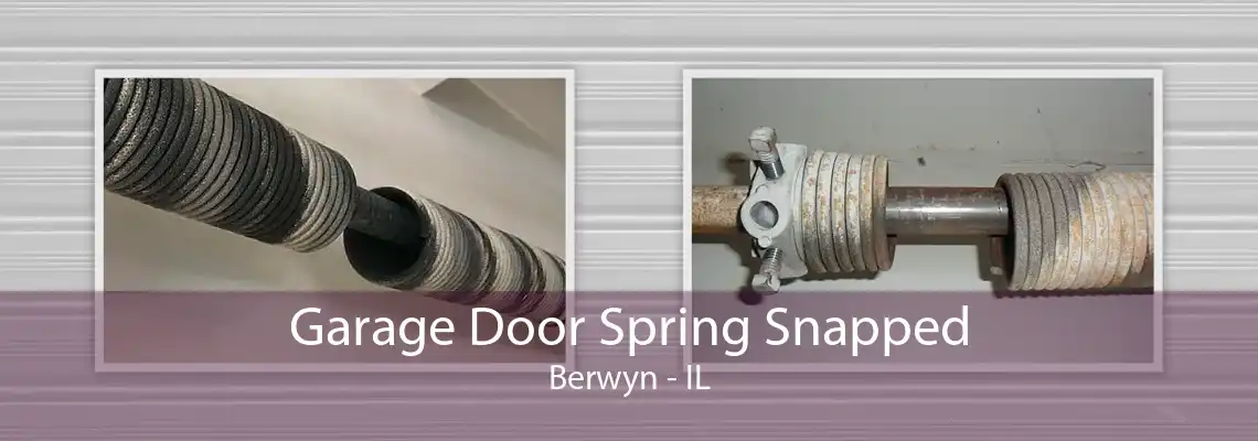 Garage Door Spring Snapped Berwyn - IL