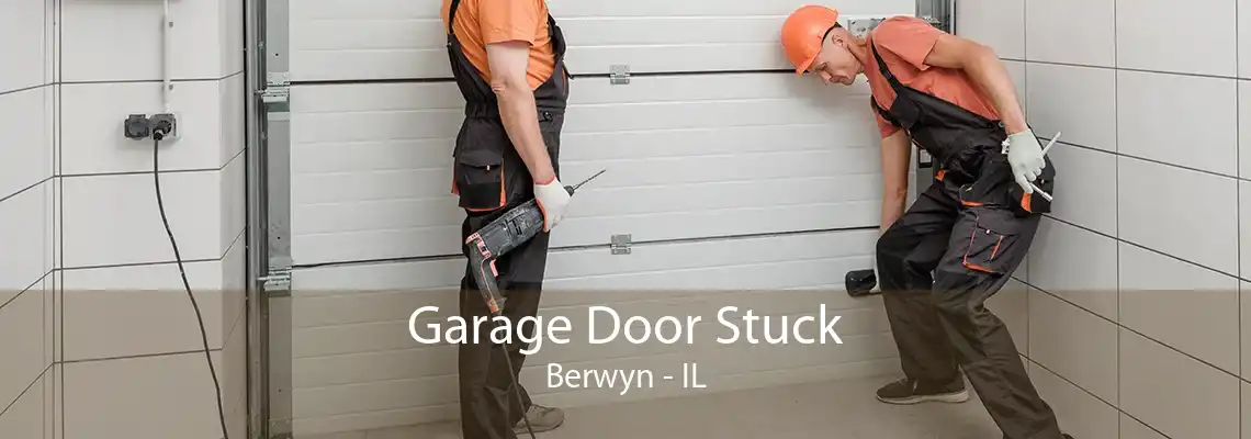 Garage Door Stuck Berwyn - IL