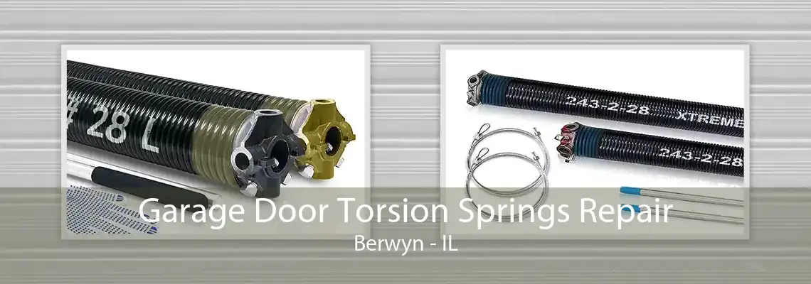 Garage Door Torsion Springs Repair Berwyn - IL