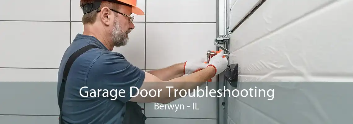 Garage Door Troubleshooting Berwyn - IL