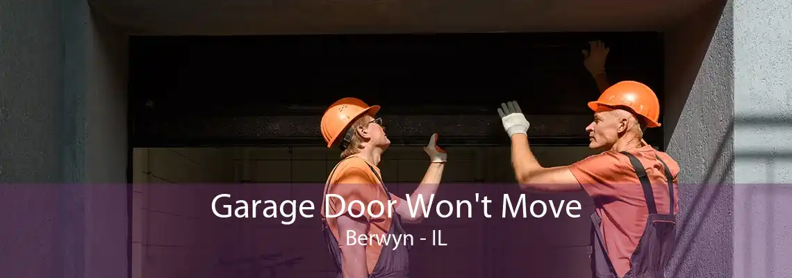 Garage Door Won't Move Berwyn - IL