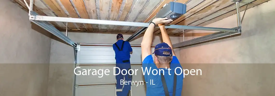 Garage Door Won't Open Berwyn - IL