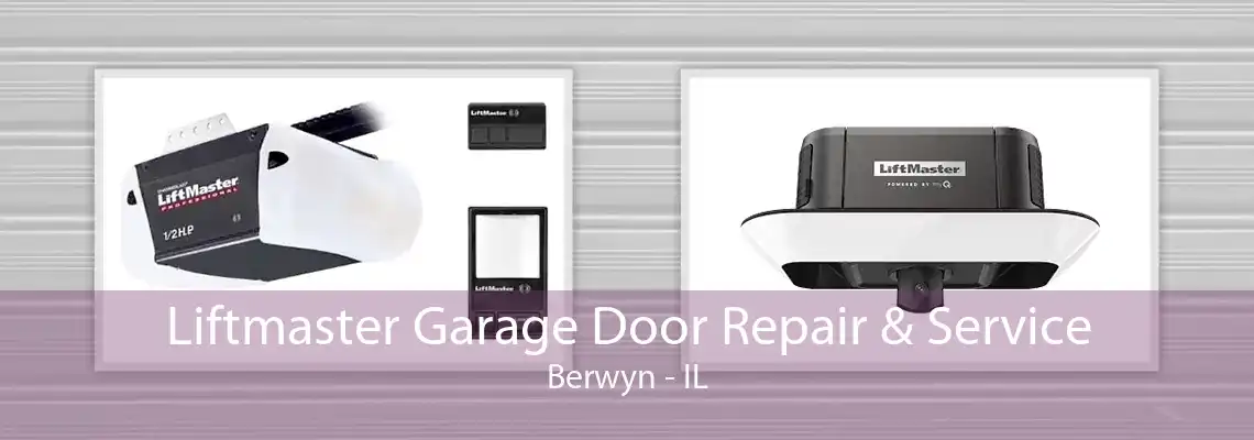 Liftmaster Garage Door Repair & Service Berwyn - IL