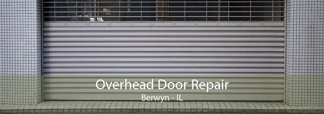 Overhead Door Repair Berwyn - IL